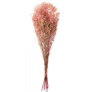 Tørrede blomster, Gypsophila pink